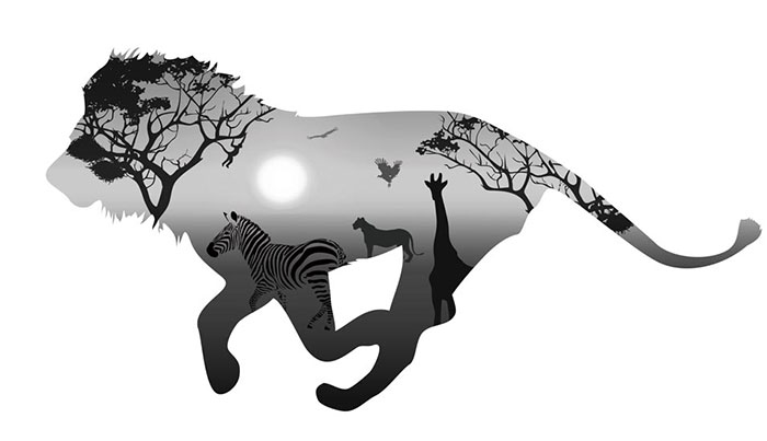 Compatible Animals for Jahrriesnge lion and zebra lpf08621 Compatible Animals Jahrriesnge for lion and zebra lpf08621