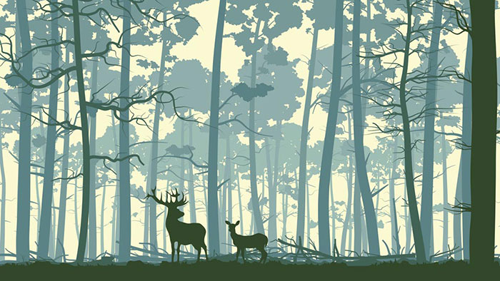 Compatible Animals for Jahrriesnge deer lpf08623 Compatible Animals Jahrriesnge for deer lpf08623