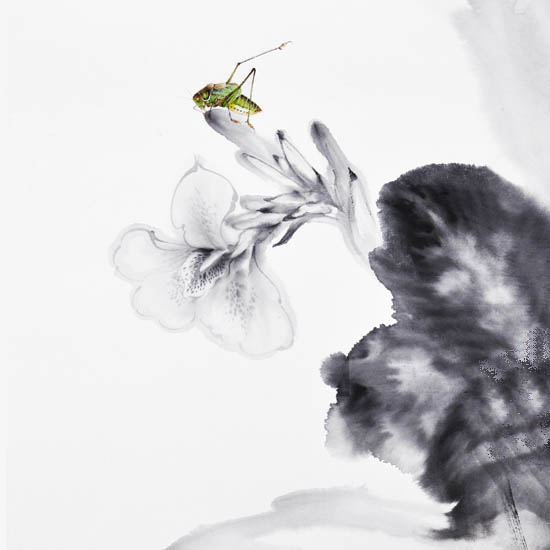 Compatible Landscape for JAHRRIESNGE Katydids lpf09503 Compatible Landscape JAHRRIESNGE for Katydids lpf09503
