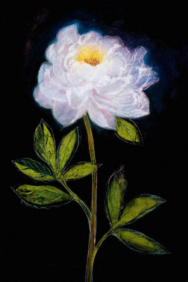 Compatible Floral for JAHRRIESNGE flowers lpf09831 Compatible Floral JAHRRIESNGE for flowers lpf09831