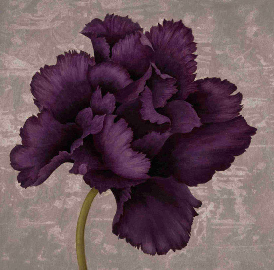 Compatible Floral for Jahrriesnge flowers lpf09996 Compatible Floral Jahrriesnge for flowers lpf09996