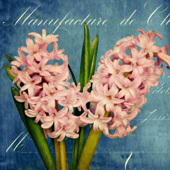 Compatible Floral for Jahrriesnge flowers lpf10017 Compatible Floral Jahrriesnge for flowers lpf10017