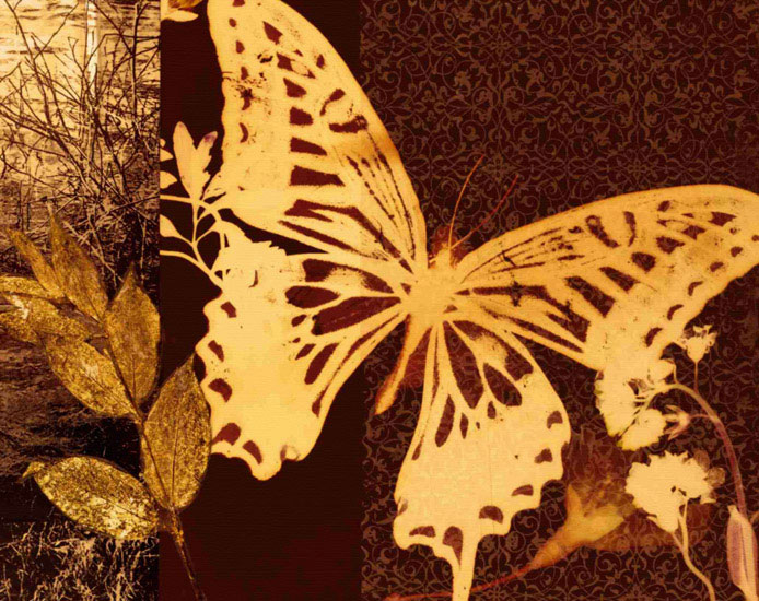 Compatible Animals for Jahrriesnge butterfly lpf10559 Compatible Animals Jahrriesnge for butterfly lpf10559