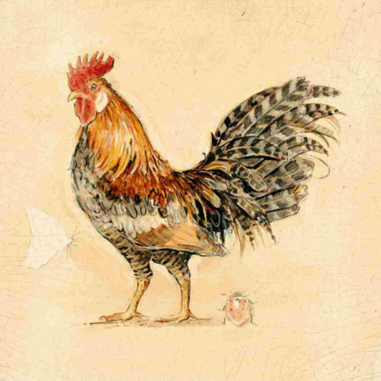 Compatible Animals for Jahrriesnge cock lpf10563 Compatible Animals Jahrriesnge for cock lpf10563