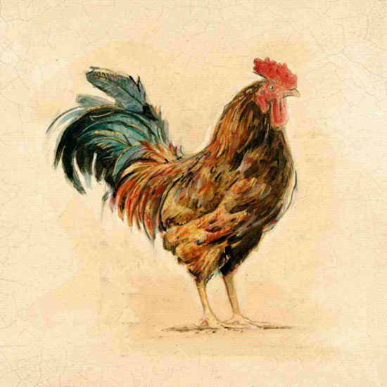 Compatible Animals for Jahrriesnge cock lpf10564 Compatible Animals Jahrriesnge for cock lpf10564