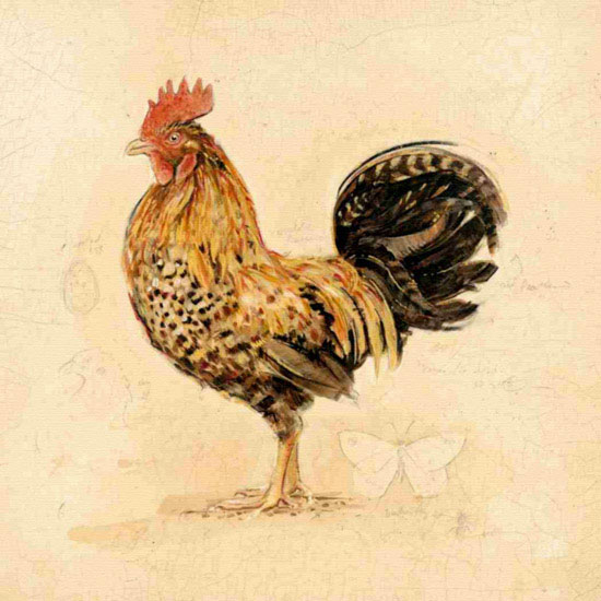 Compatible Animals for Jahrriesnge cock lpf10566 Compatible Animals Jahrriesnge for cock lpf10566