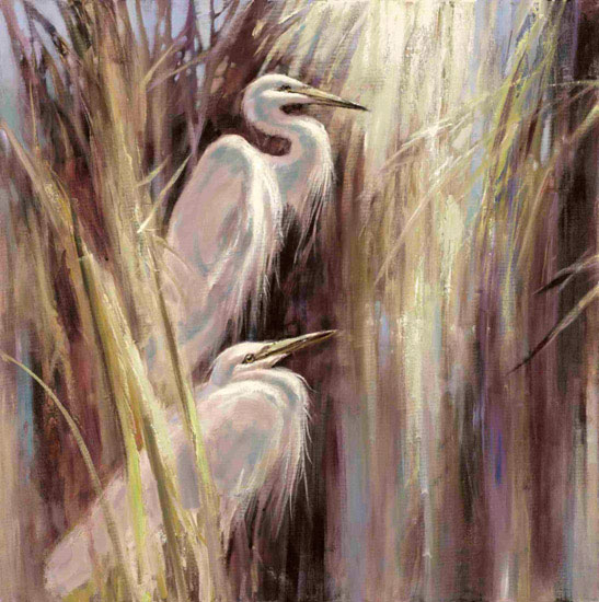 Compatible Animals for Jahrriesnge egret lpf10631 Compatible Animals Jahrriesnge for egret lpf10631