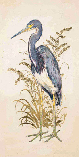 Compatible Animals for Jahrriesnge tricolor heron lpf10634 Compatible Animals Jahrriesnge for tricolor heron lpf10634