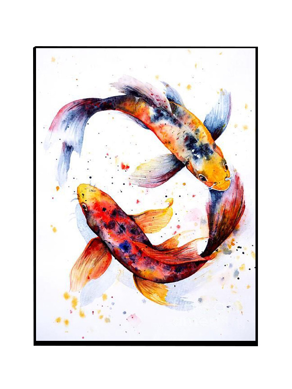 Compatible Animals for Jahrriesnge fish-lpg0495 Compatible Animals Jahrriesnge for fish-lpg0495