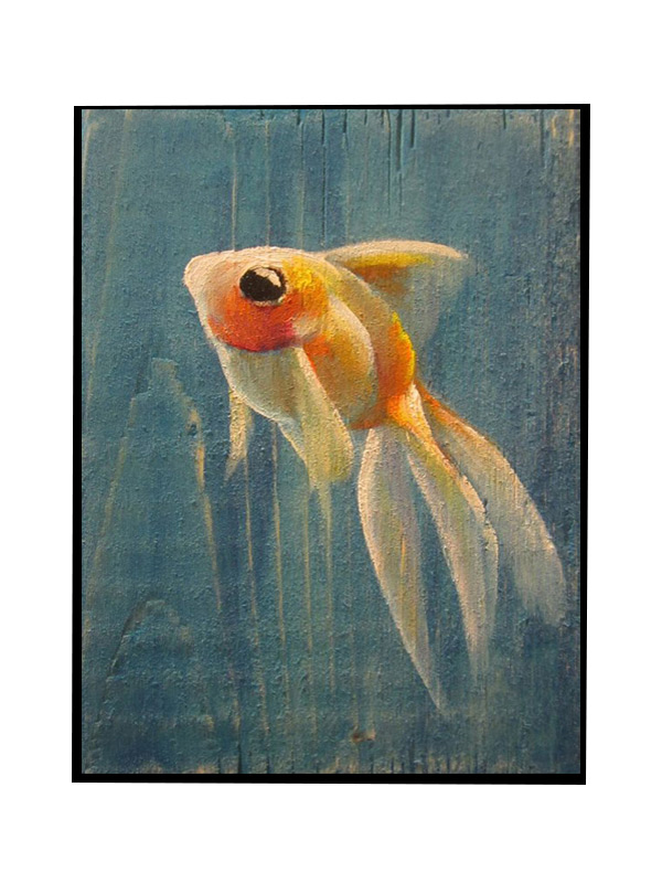 Compatible Animals for Jahrriesnge fish-lpg0507 Compatible Animals Jahrriesnge for fish-lpg0507
