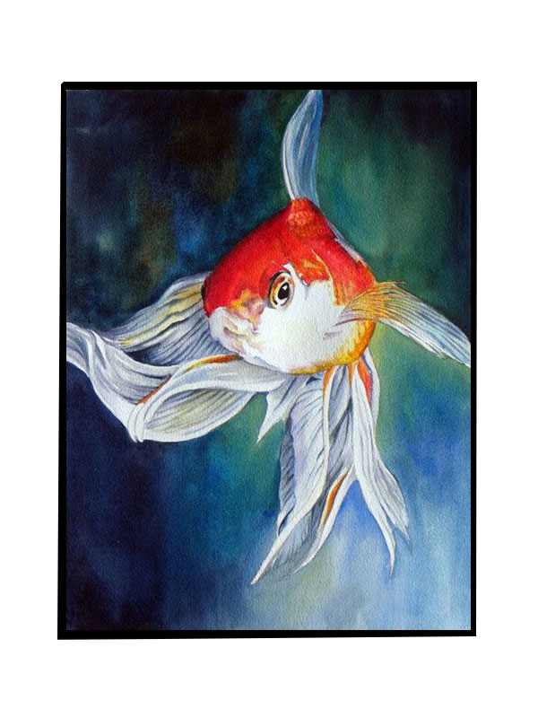Compatible Animals for Jahrriesnge goldfish-lpg1554 Compatible Animals Jahrriesnge for goldfish-lpg1554