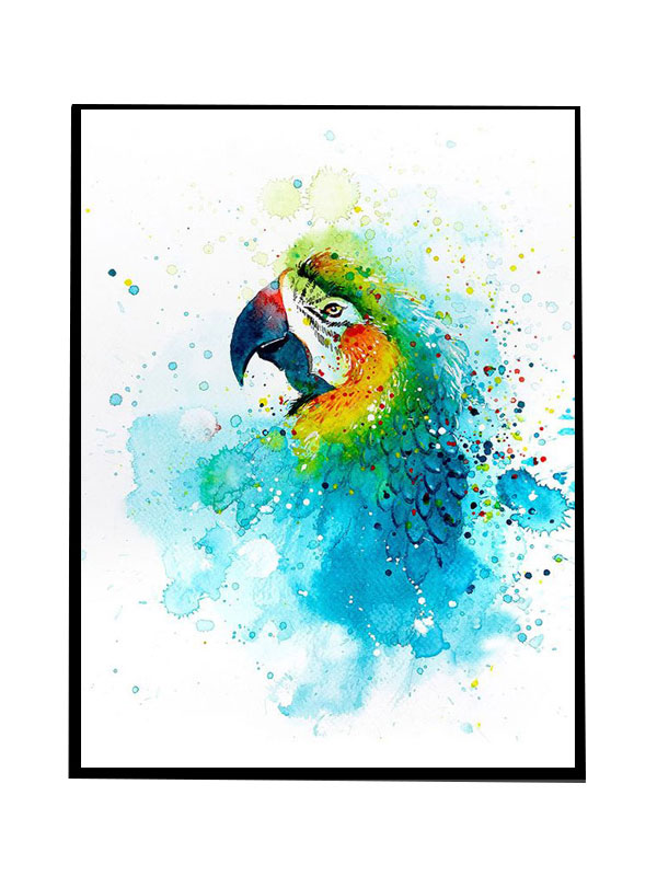 Compatible Animals for Jahrriesnge parrot-lpg1558 Compatible Animals Jahrriesnge for parrot-lpg1558