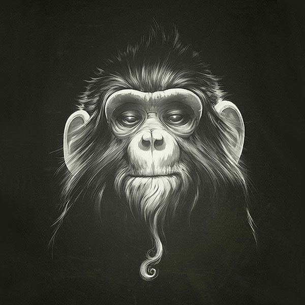 Compatible Animals for Jahrriesnge monkey-lpg1628 Compatible Animals Jahrriesnge for monkey-lpg1628