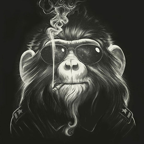 Compatible Animals for Jahrriesnge monkey-lpg1632 Compatible Animals Jahrriesnge for monkey-lpg1632