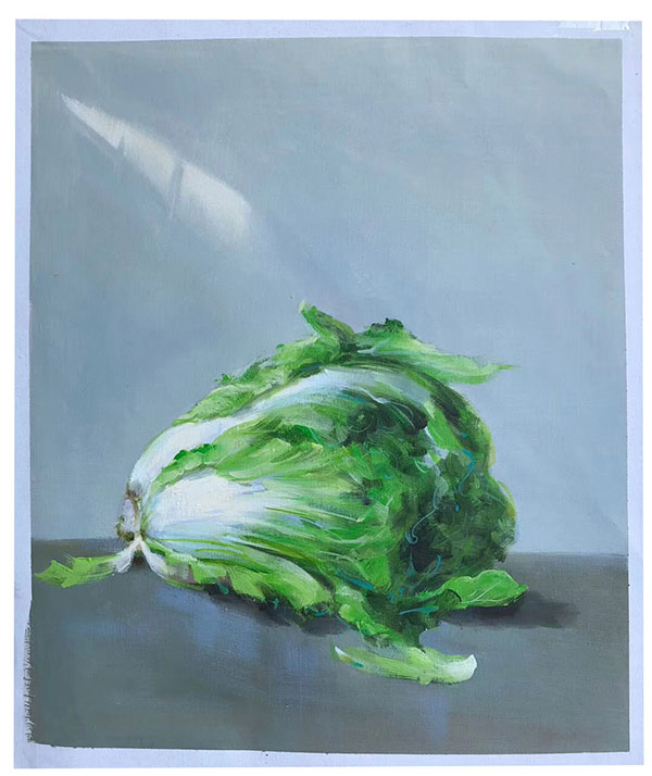 Compatible Still Life for Jahrriesnge cabbage-lpg1718 Compatible Still Life Jahrriesnge for cabbage-lpg1718