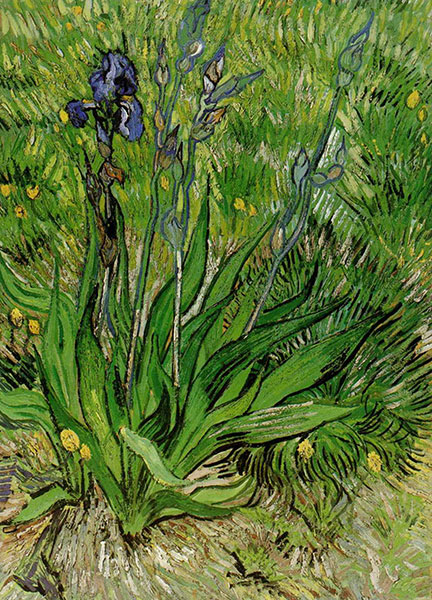 Compatible Still Life for Jahrriesnge flowers lpg2536 Compatible Still Life Jahrriesnge for flowers lpg2536